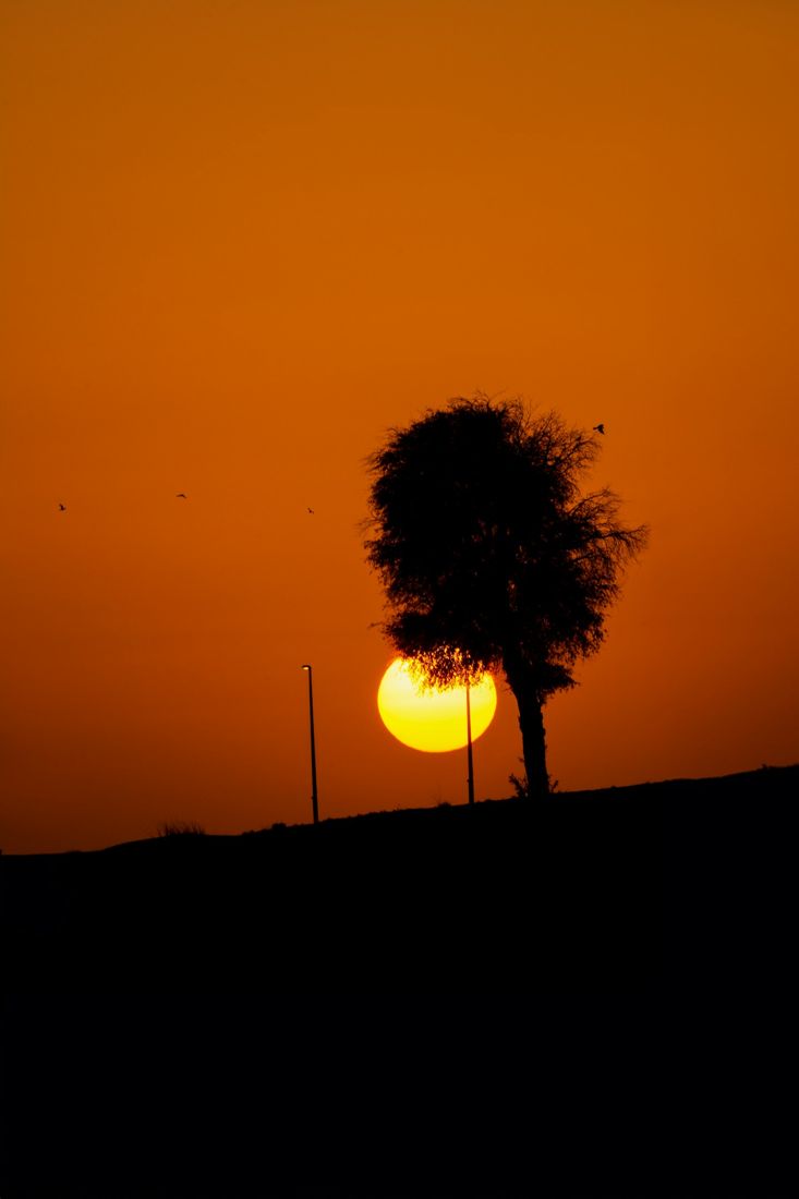 Sharjah, UAE destination photography inspiration